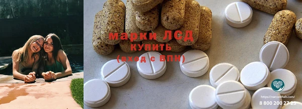ПСИЛОЦИБИНОВЫЕ ГРИБЫ Арсеньев