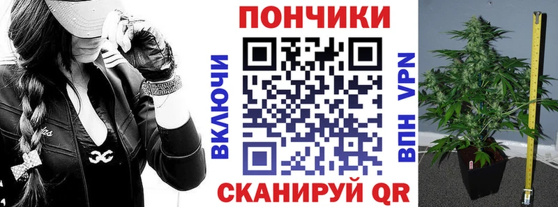 omg ссылка  Туринск  Марихуана Amnesia  наркошоп 
